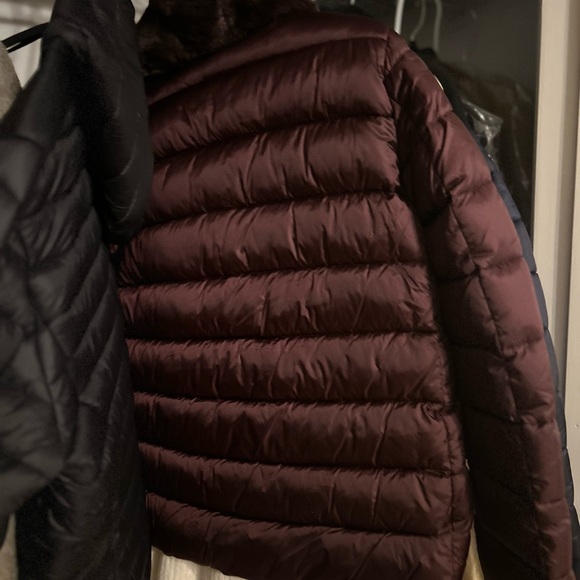 SAVE THE DUCK Burgundy Puffer Jacket - Picture 6 of 7